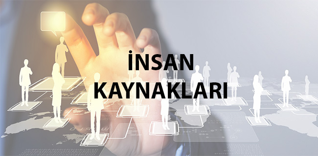 İnsan Kaynakları